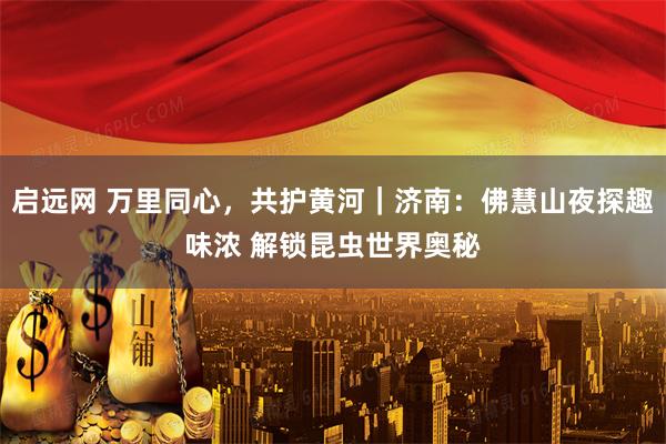 启远网 万里同心，共护黄河｜济南：佛慧山夜探趣味浓 解锁昆虫世界奥秘